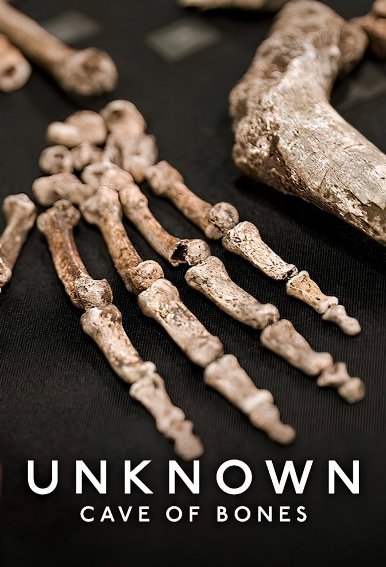 Imatge de Unknown: Cave of Bones