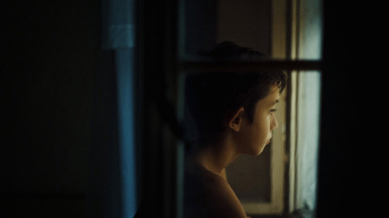 Imatge de I fiori non hanno le scarpe