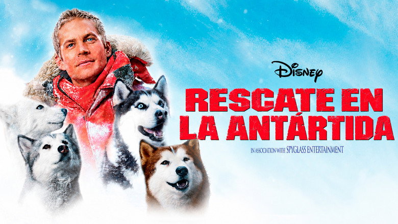 Fondo del título