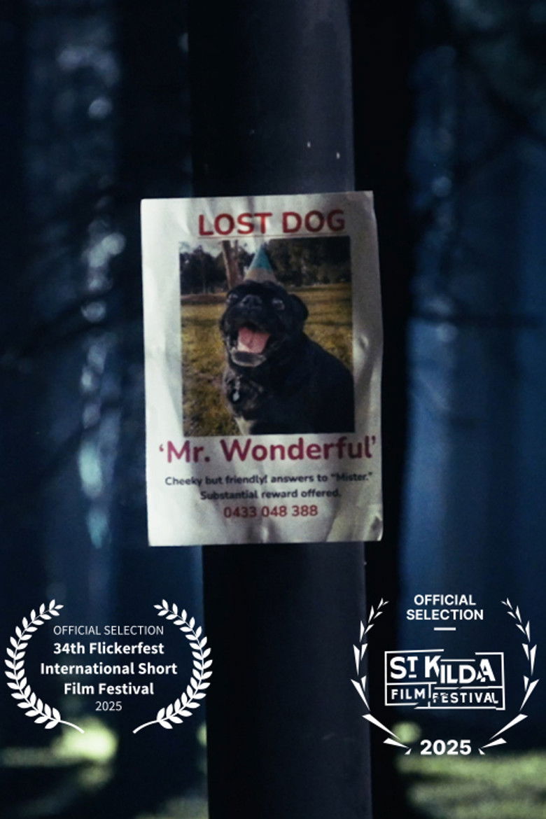 Imatge de Mr. Wonderful