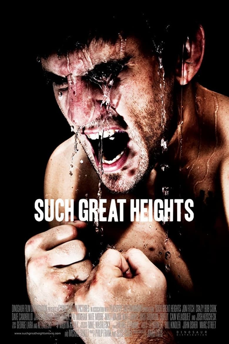 Such Great Heights main poster