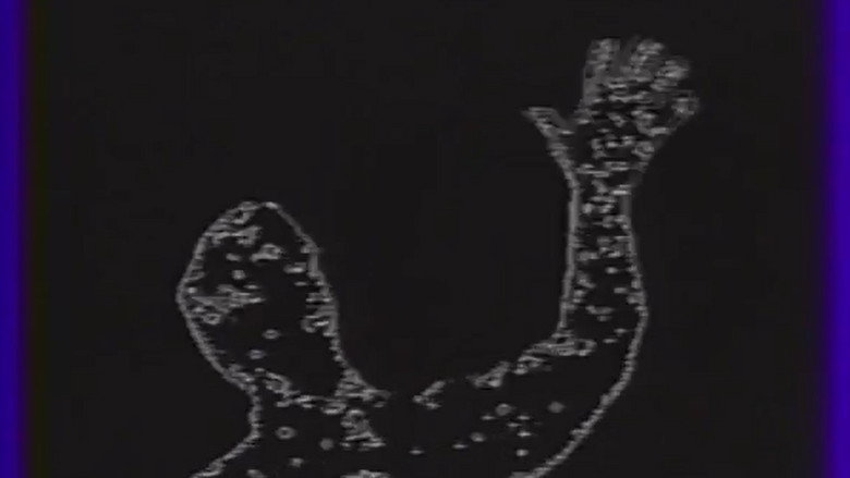 Videoplace galeri 2