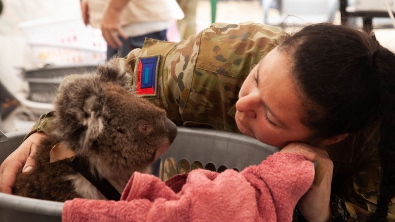Bushfire Animal Rescue main backdrop