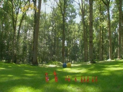 Still image for 花园宝宝高清版 season 1 episode 40: Episode 40 Still image for 花园宝宝高清版 season 1 episode 40: Episode 40