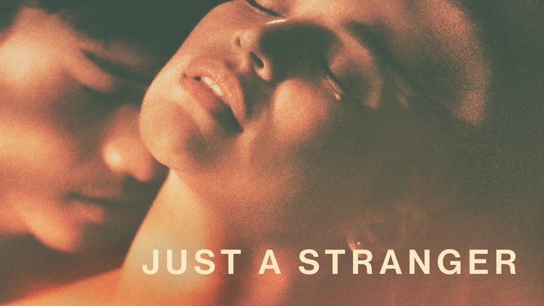 Just a Stranger (2019) türkçe dublaj izle