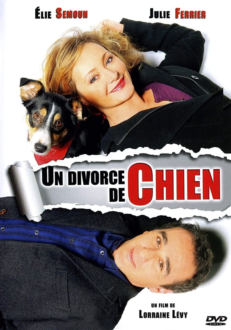 Affiche de UN DIVORCE DE CHIEN