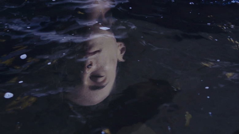 Imatge de La voix de mon rêve