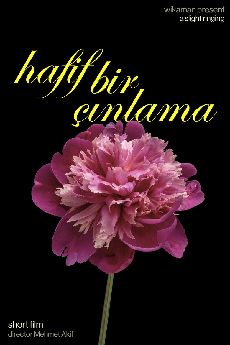 Imatge de Hafif Bir Çınlama