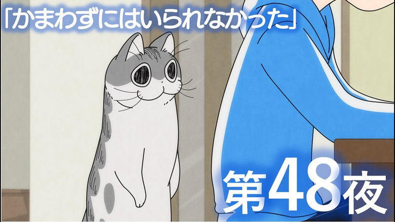 Still image for Nights with a Cat season 1 episode 48: Night 48: I Couldn't Resist Giving Him Attention