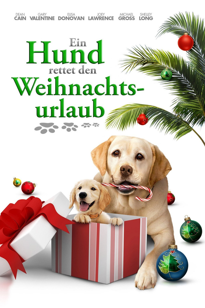 Ein Hund rettet den Weihnachtsurlaub