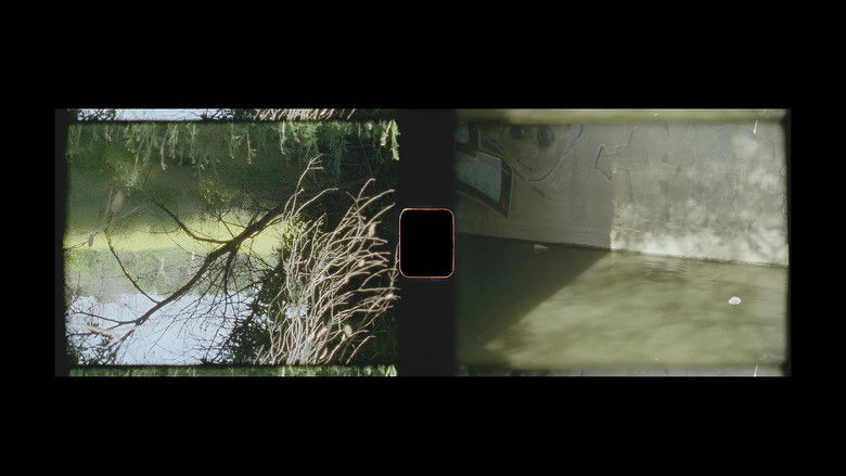 Backdrop for RIP Tracy