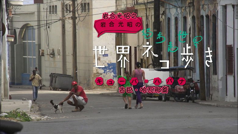 Still image for Mitsuaki Iwago's World “Cats” Travelogue season 1 episode 4: Havana, Cuba Still image for Mitsuaki Iwago's World “Cats” Travelogue season 1 episode 4: Havana, Cuba