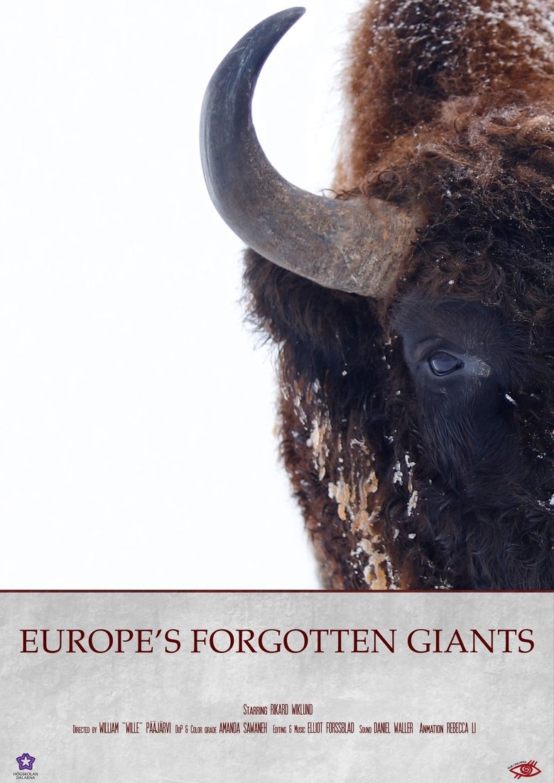 Europe´s Forgotten Giants main poster