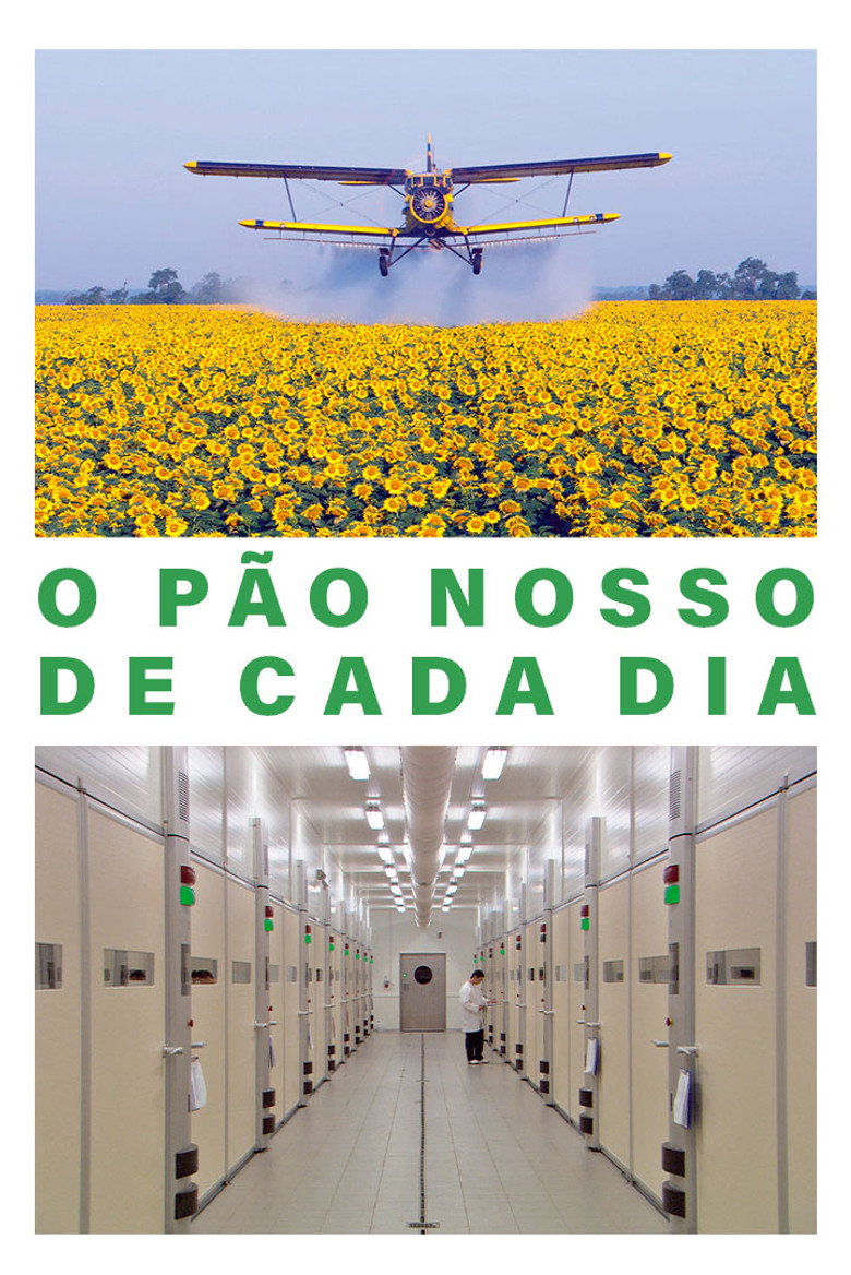 O Pão Nosso de Cada Dia