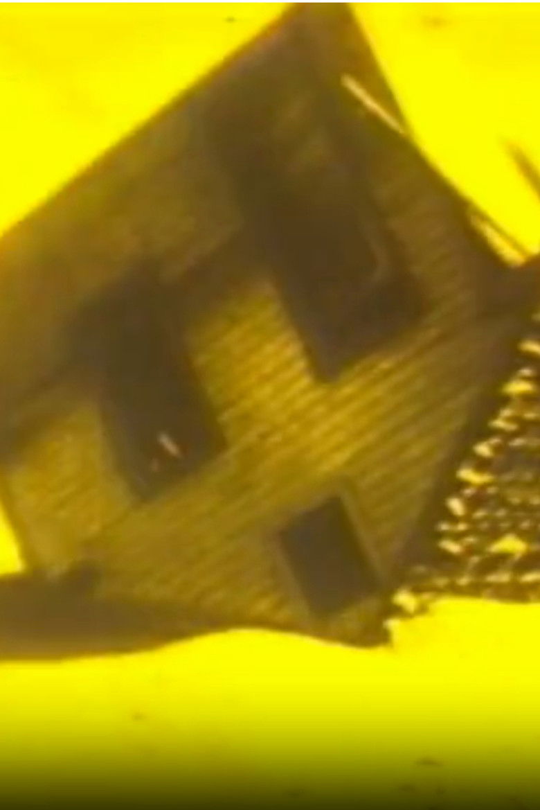 Imatge de Going Back Home