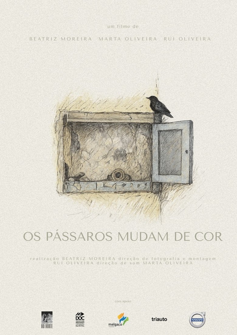 Os pássaros mudam de cor (2025)
