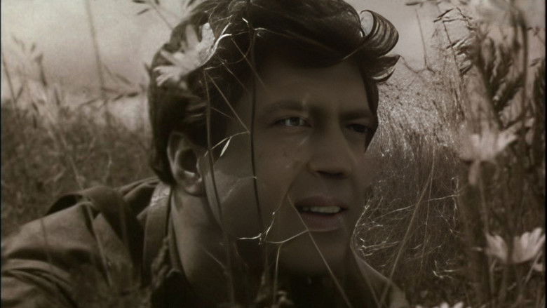 Gallery image from xst7LShzQ47FeVje66I2k2OEW5j.jpg