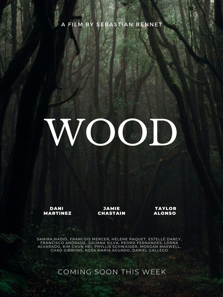 Imatge de The Scary Tennis Ball