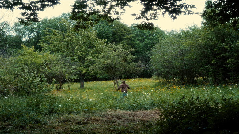 Film backdrop