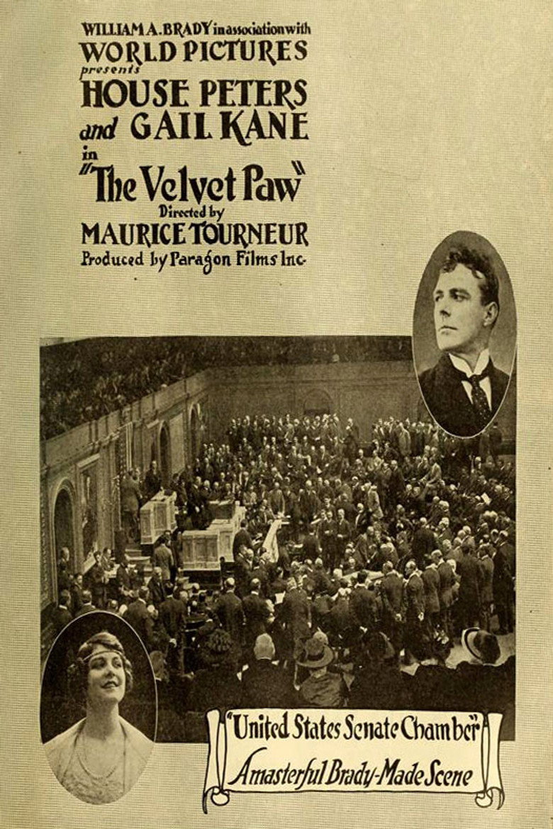 The Velvet Paw (1916) backdrop image