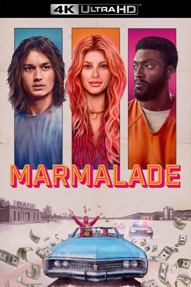 Póster la Película