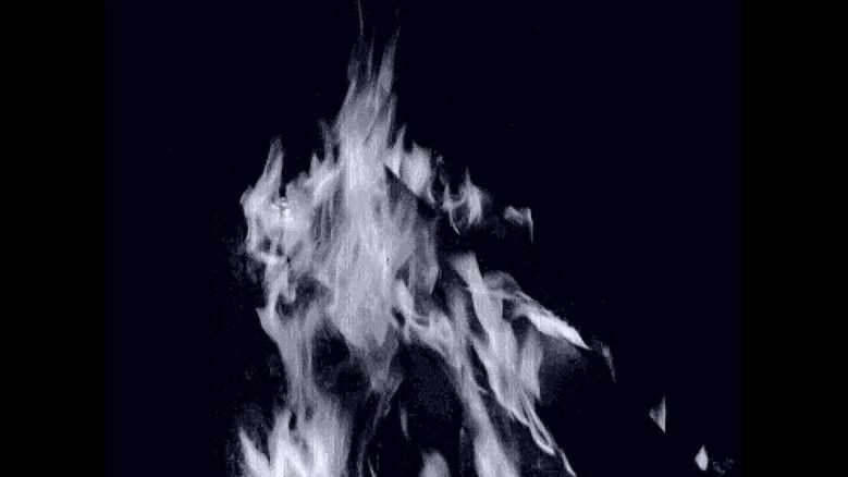 Imatge de Gifs Galore