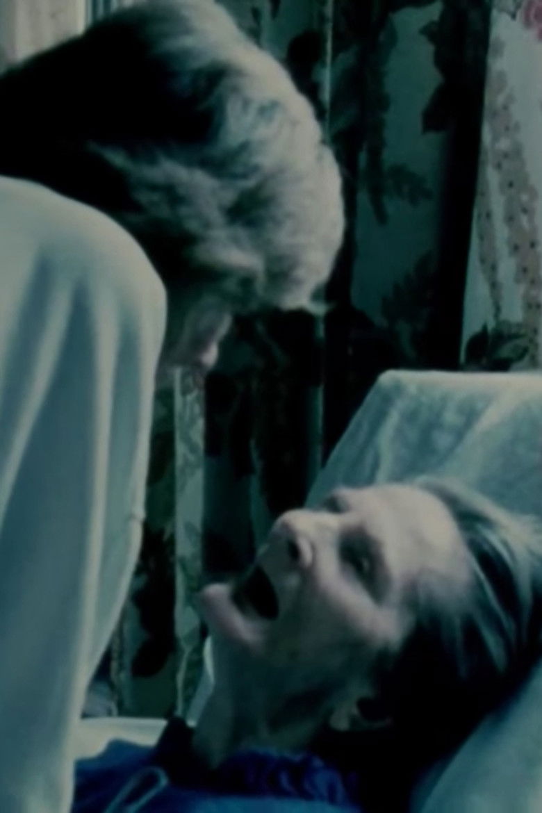 Imatge de Passing Through/Torn Formations