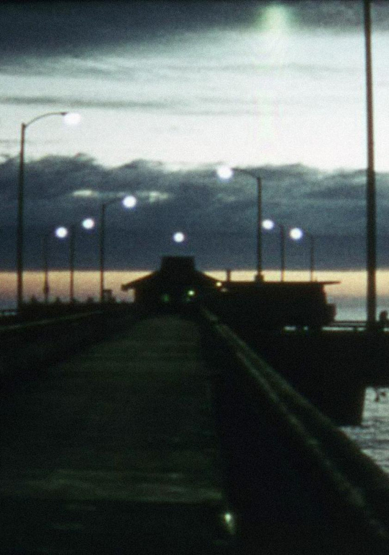 Imatge de Venice Pier