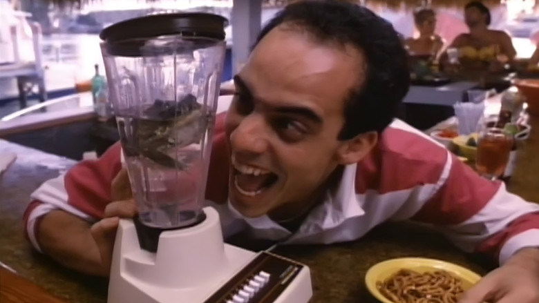 Gallery image from xukVkCsR0pP9Qn3p1YW5MjAKvtC.jpg