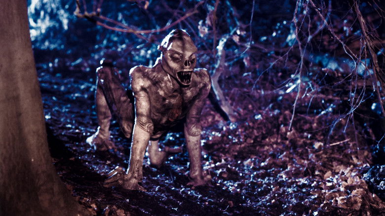 Backdrop de Xtro Collection