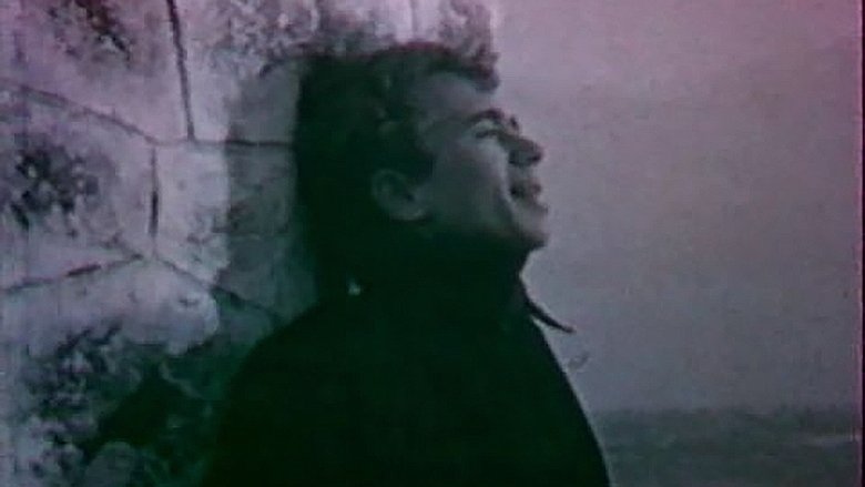 The Bigmoon Nights (1991)