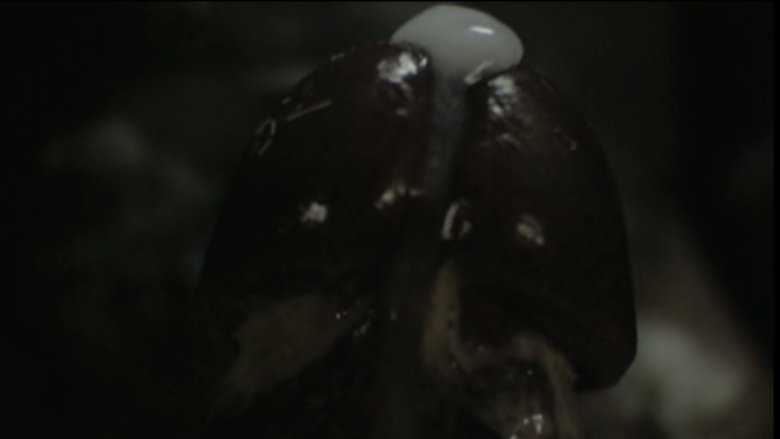 Gallery image from xvpWefgB0TPk9eg1JrAXFZ2HcnN.jpg