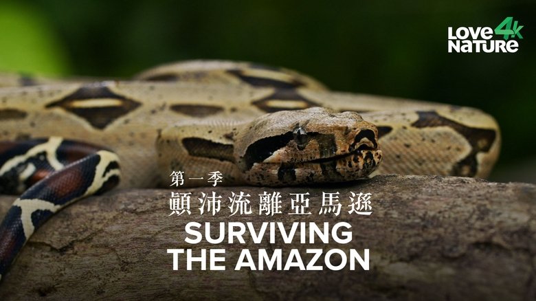 Surviving+the+Amazon