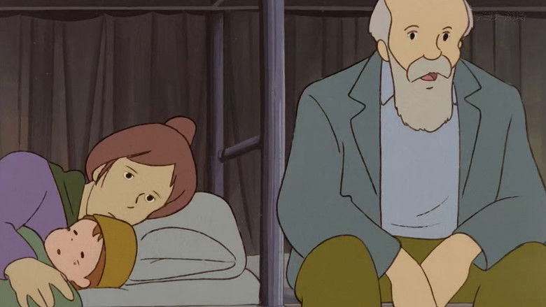 The Shining Stars of the Southern Cross