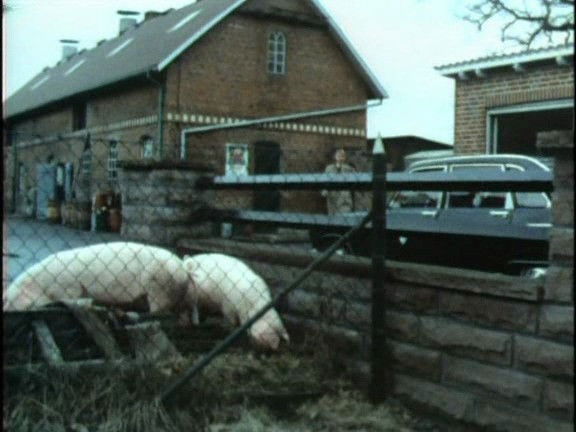 Still image for Dem Täter auf der Spur season 1 episode 13: Episode 13