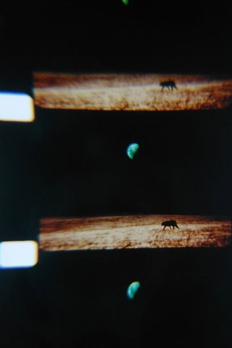 Imatge de Darkness, Darkness, Burning Bright