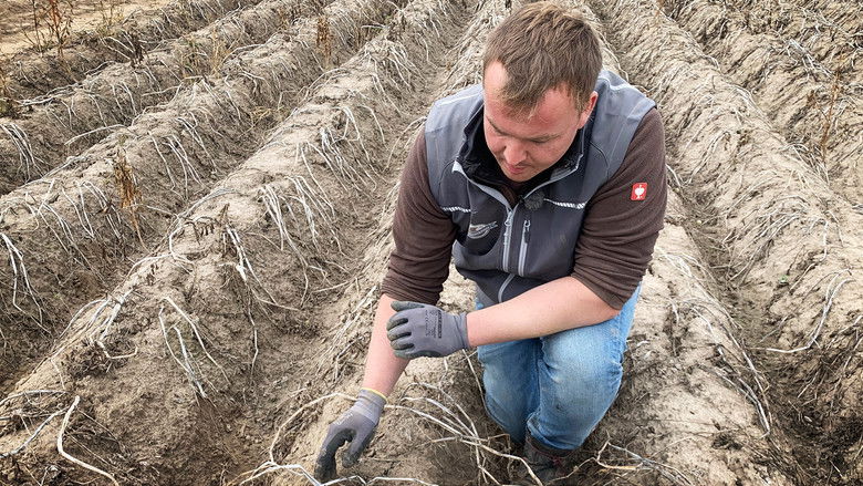 Still image for Helden der Landwirtschaft season 1 episode 7: Episode 7