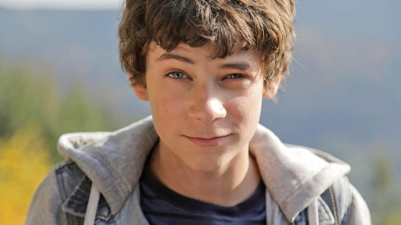 Night Forest Photo 3