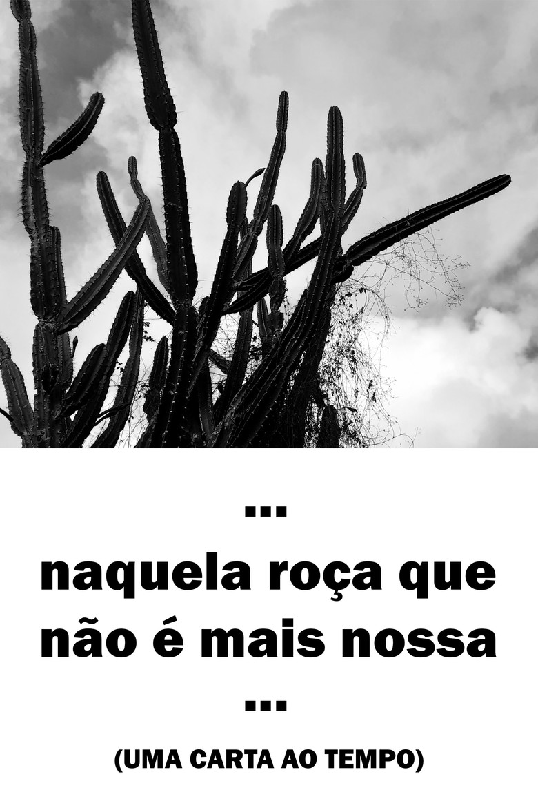 Imatge de Naquela roça que não é mais nossa