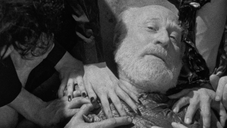 Gallery image from y007JXcMc8pvz0J9PGK4bPR7G5R.jpg