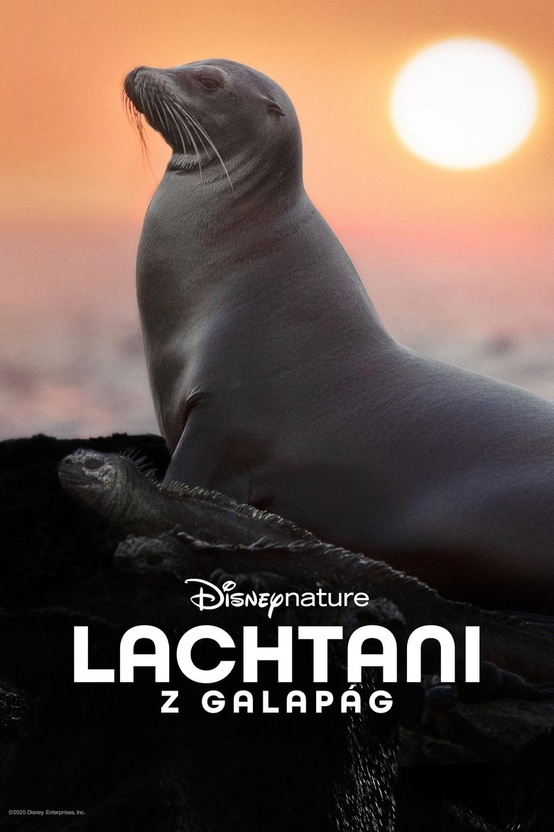 Lachtani Galapág (2025)