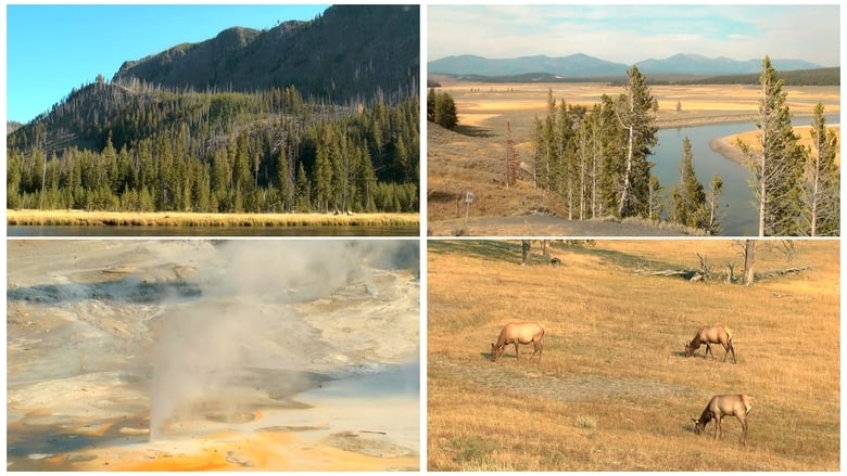 Weltnaturerbe USA 3D - Yellowstone Nationalpark movie poster