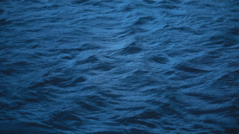 Imatge de Fields of Mourning