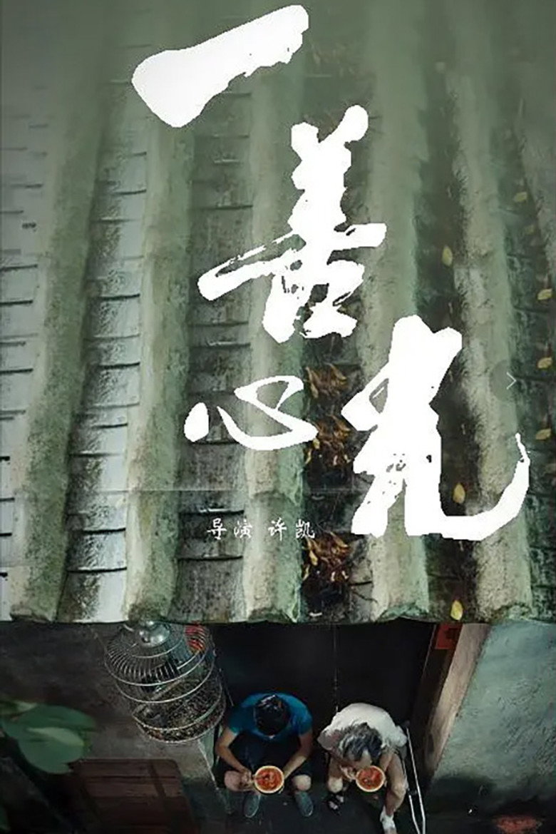 一善心光 (2018)-光鸭·臻影社