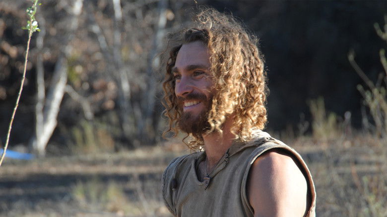 The Bears and the Bees