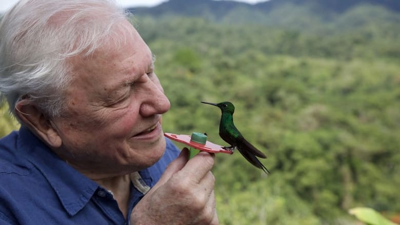 Attenborough's Life in Colour banner backdrop