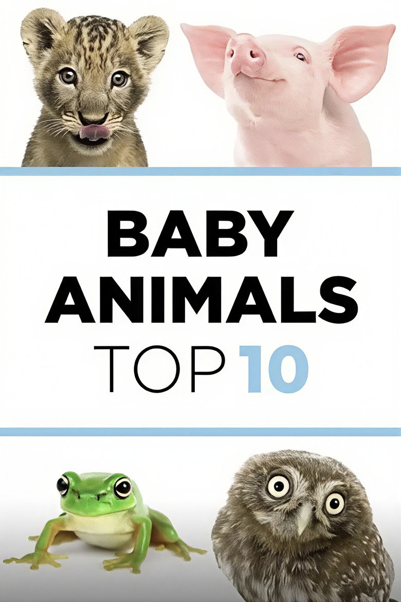 Official poster for Baby Animals: The Top 10