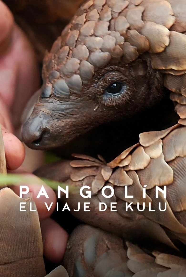 Pangolín: El viaje de Kulu