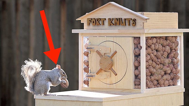 Backyard Squirrel 2.0 - Bank Heist