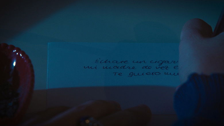 Image d'arrière-plan 3 du film 5 cigarros con tu madre